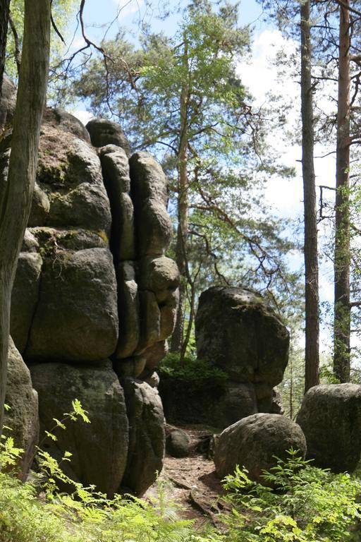 GroßschönauGoldberghausアパートメント エクステリア 写真